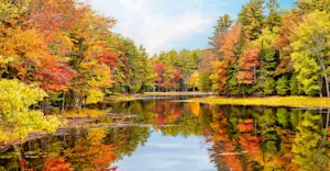 Fall foliage, Acadia National Park, Maine.