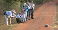 Nat Hab guests, Pantanal, Brazil.