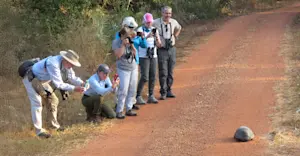 Nat Hab guests, Pantanal, Brazil.