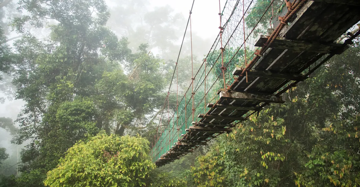 Danum Valley, Borneo.