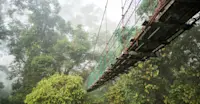Danum Valley, Borneo.
