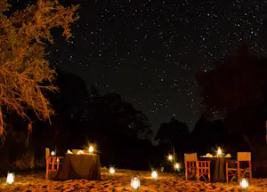 Sabi Sabi Little Bush Camp Sabi Sand Game Reserve South Africa