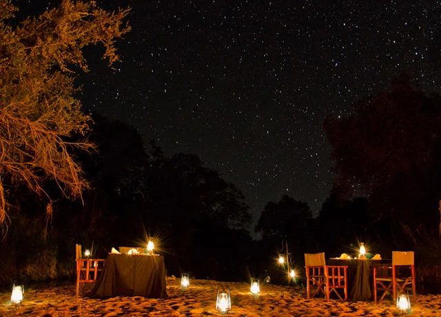 Sabi Sabi Little Bush Camp Sabi Sand Game Reserve South Africa