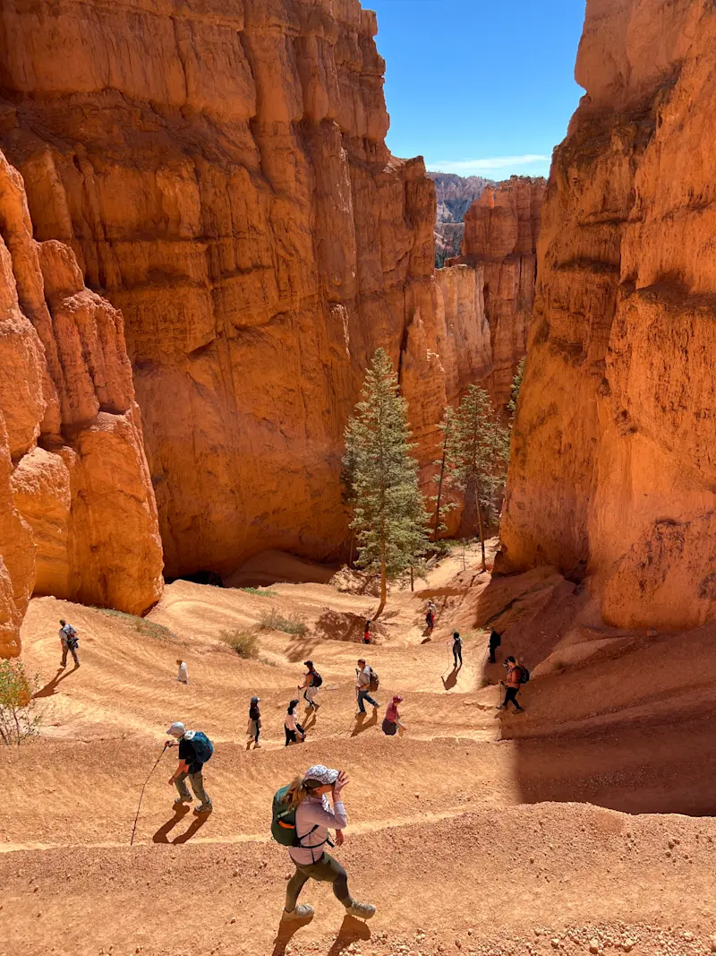 Hiking through Zion National Park in Utah.