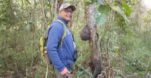 Nat Hab Expedition Leader, Madagascar.