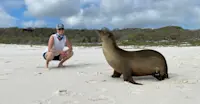 Sea lion at Gardner Bay in Galapagos.