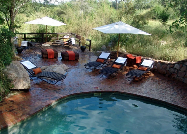 Sabi Sabi Little Bush Camp Sabi Sand Game Reserve South Africa