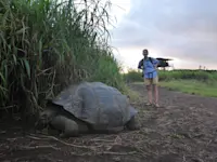 Visiting Nat Hab's Tortoise Camp in the Galapagos Islands.