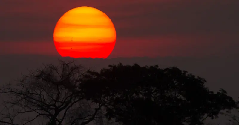 Sunset, Pantanal, Brazil.