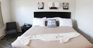 Polar Inn & Suites