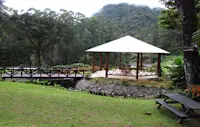 Slideshow Thumbnail 6 of 7