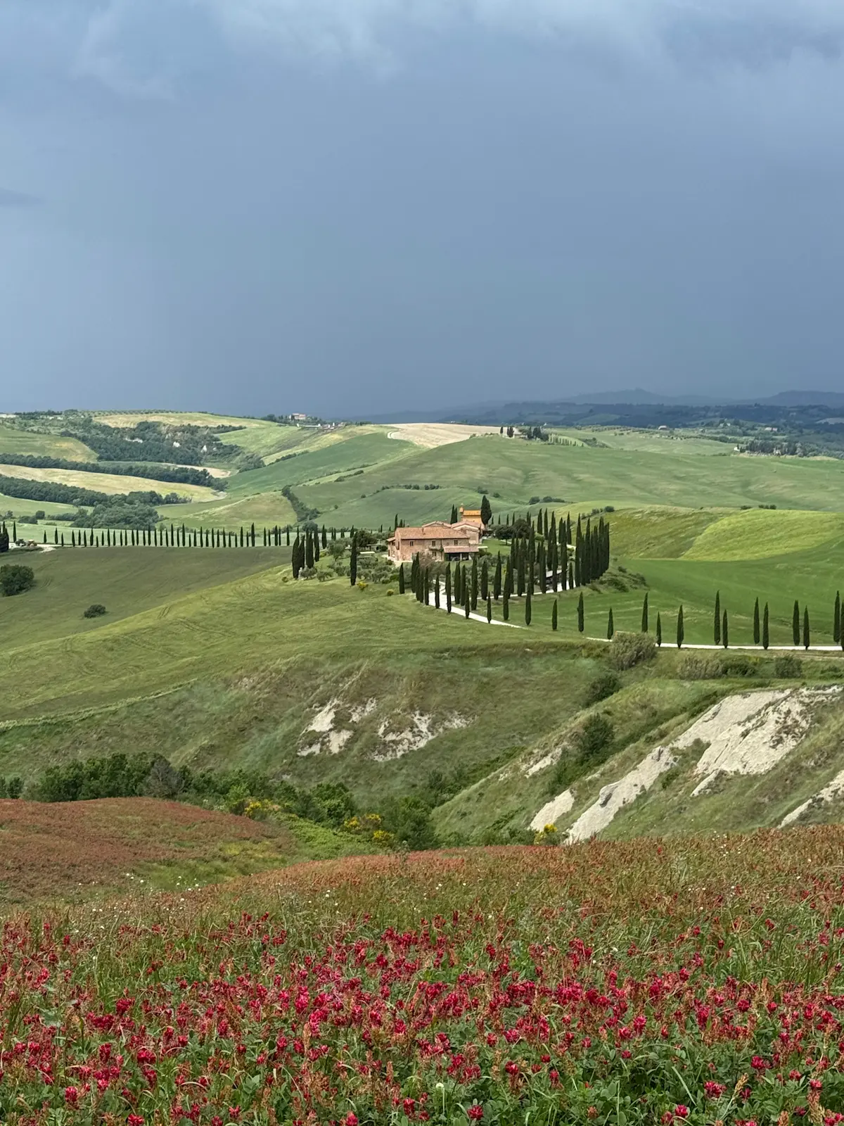 Tuscany in spring is so beautiful!