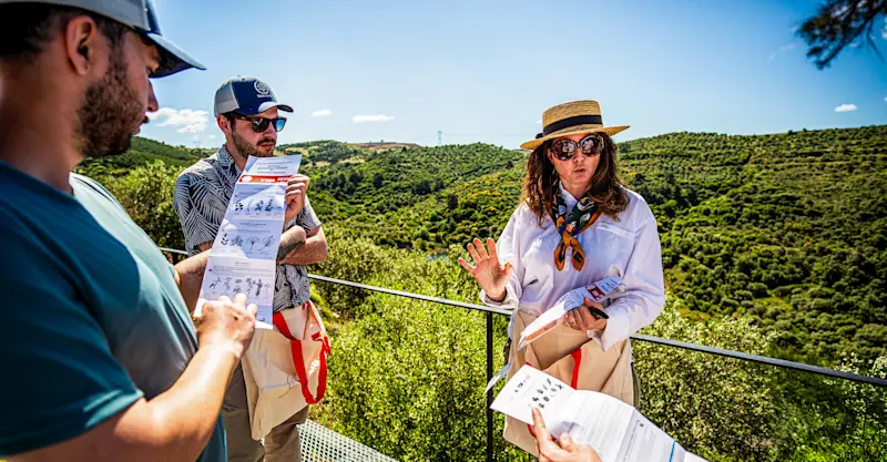 Wild herb foraging experience, Urla, Turkey.