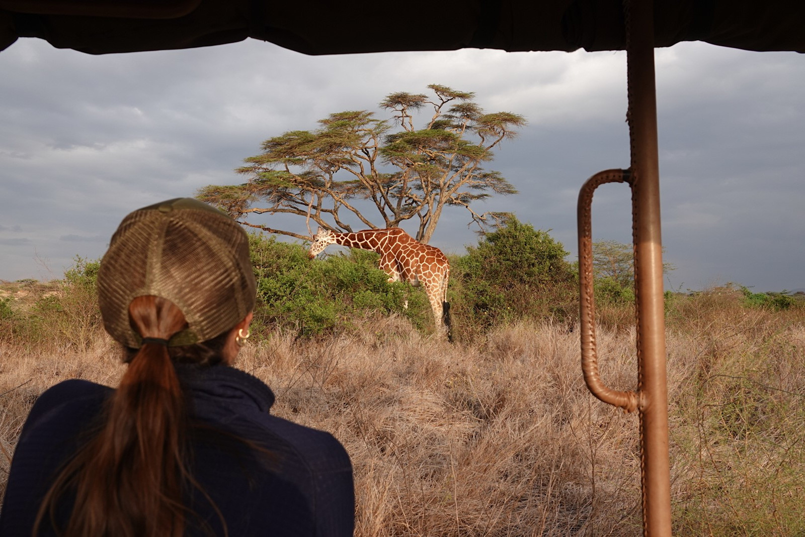 Experiencing a journey of hope, wilderness, and purpose in Kenya. 