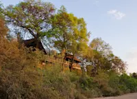 Slideshow Thumbnail 2 of 11