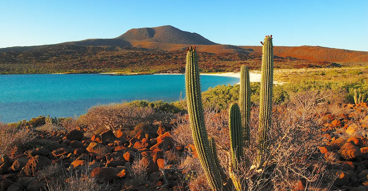  Baja California Sur, Mexico.