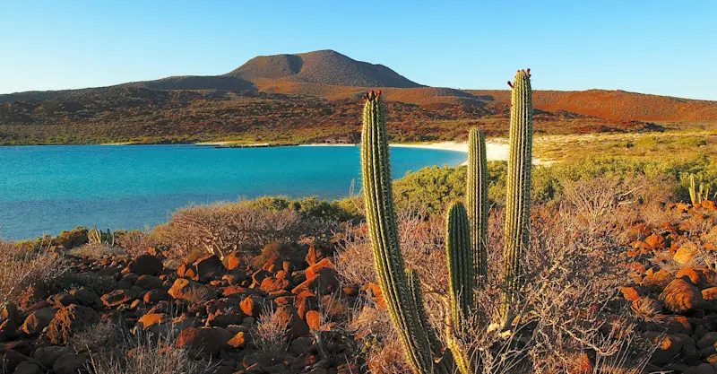  Baja California Sur, Mexico.