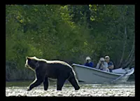 Slideshow Thumbnail 4 of 7