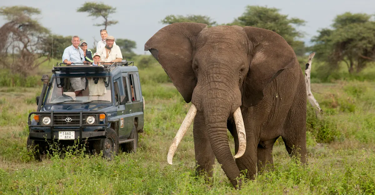 Nat Hab guests and elephant, Serengeti National Park, Tanzania.