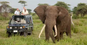 Nat Hab guests and elephant, Serengeti National Park, Tanzania.