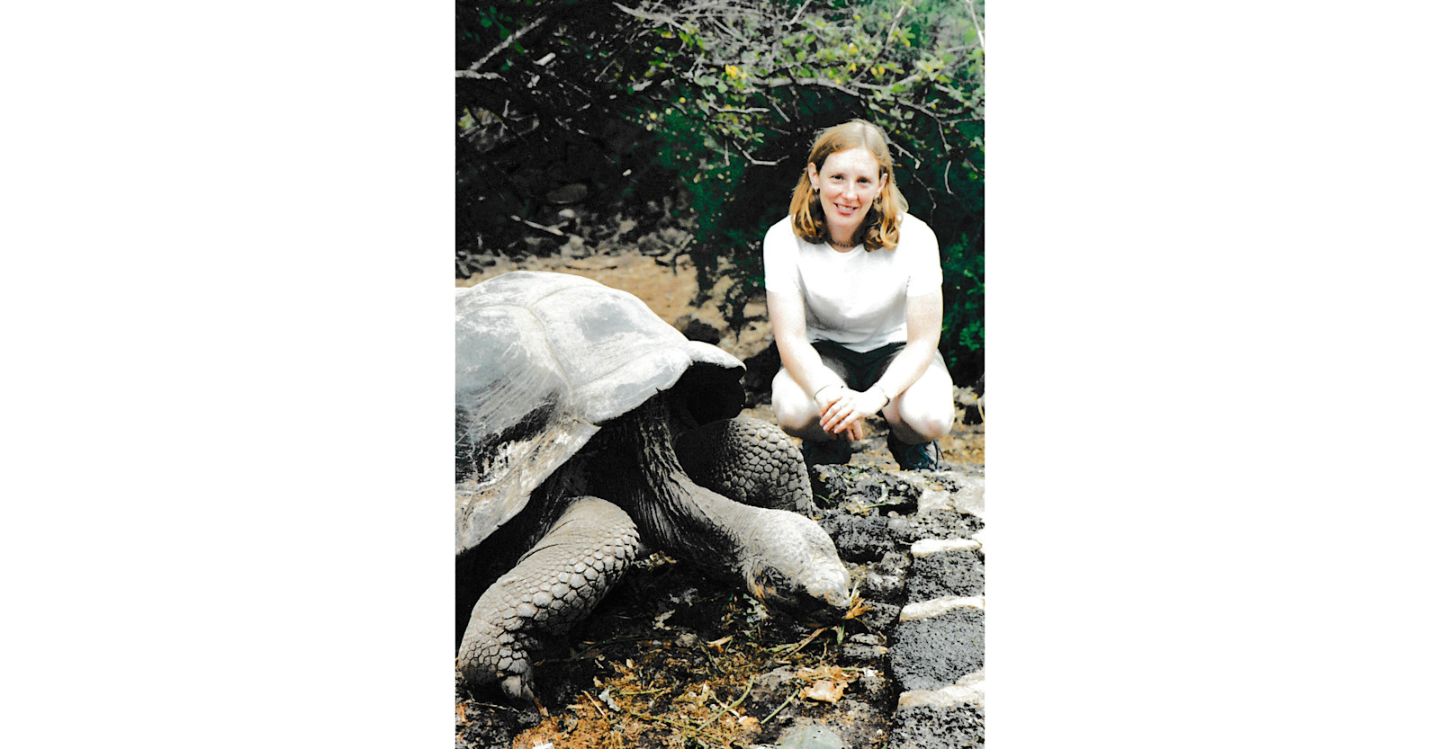 Visiting Galapagos tortoises, 2001. 