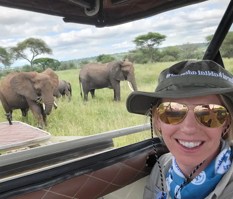A stroll through the Safari in Botswana.