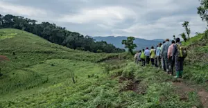 Nat Hab guests and local porters, Bwindi Impenetrable Forest National Park, Uganda.