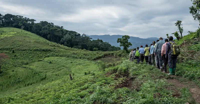 Nat Hab guests and local porters, Bwindi Impenetrable Forest National Park, Uganda.