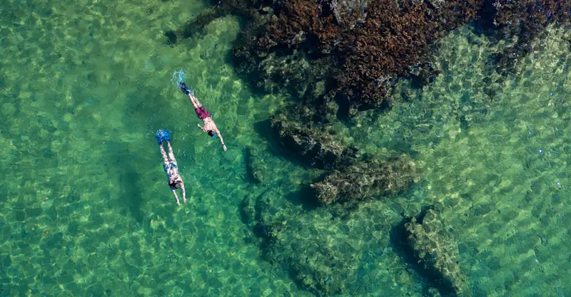 Masoala, Madagascar.