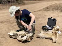 First time working as a paleontologist on an Earthwatch expedition in Zambia.