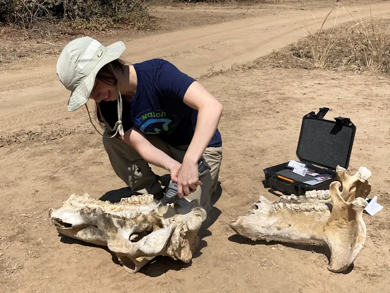 First time working as a paleontologist on an Earthwatch expedition in Zambia.