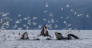 Slideshow Image Thumbnail 1 of 8