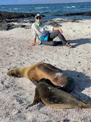 Basking sea lions on our hike around Isla Fernandina in Galapagos.