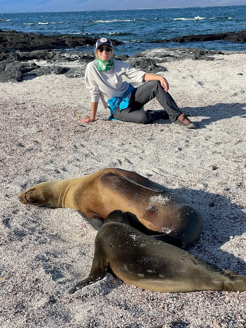 Basking sea lions on our hike around Isla Fernandina in Galapagos.