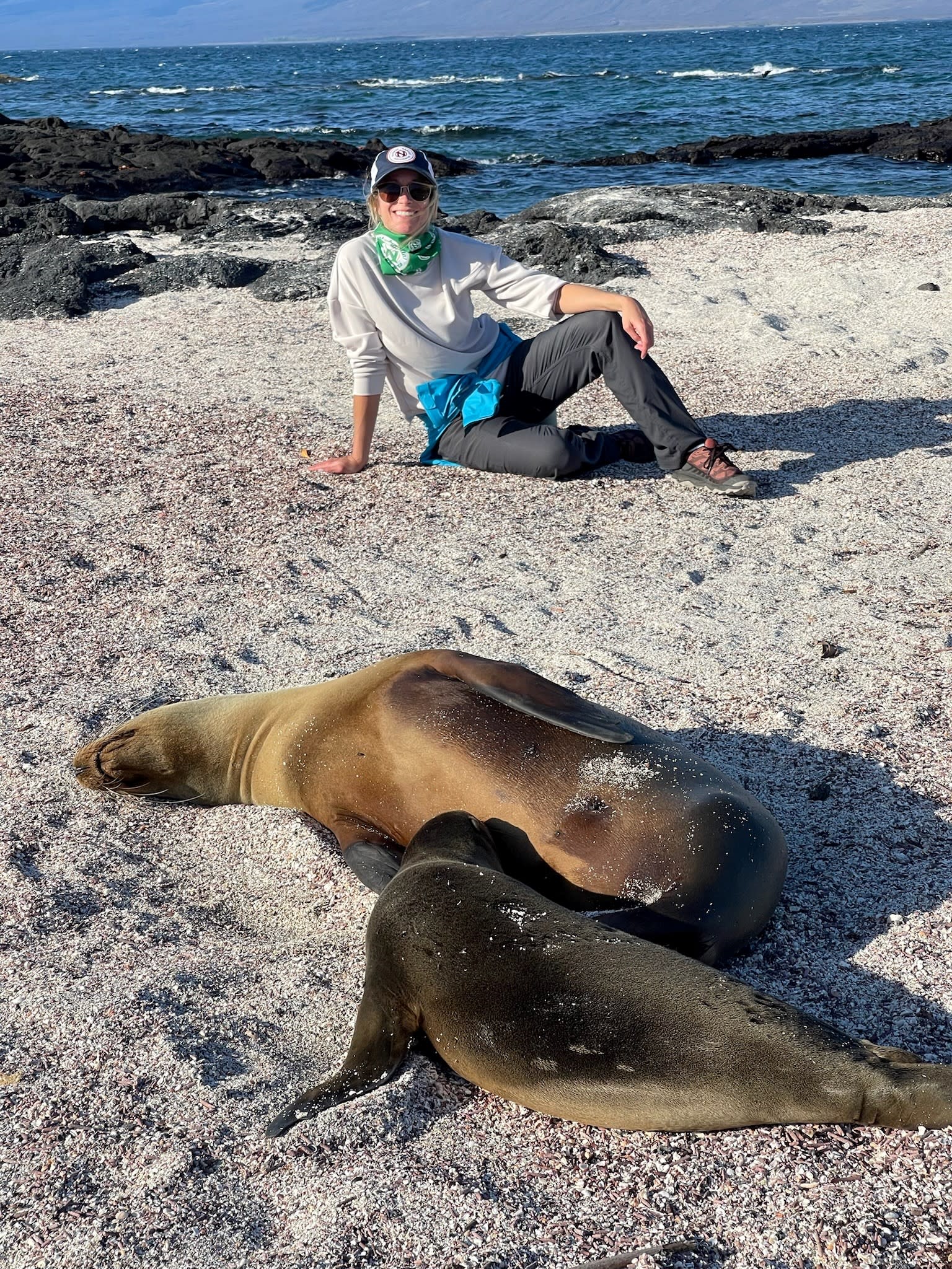 Basking Sea Lions on our hike around Isla Fernandina in Galapagos.