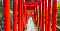 Torii gates at Hie Shrine, Tokyo, Japan.