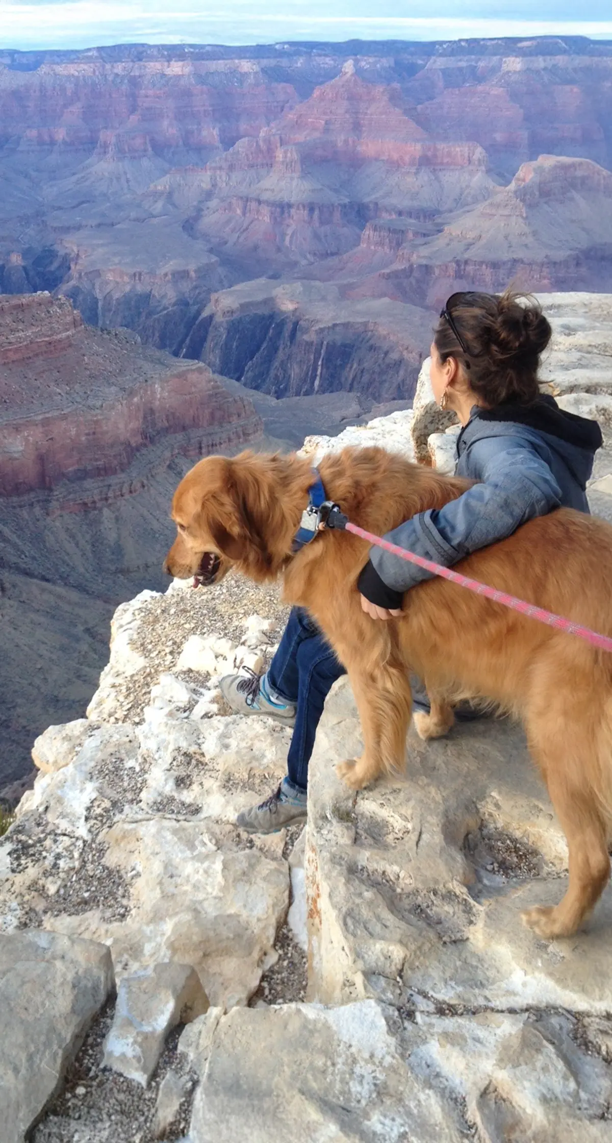 Visiting the Grand Canyon with Zoe dog.