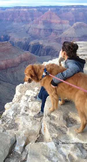 Visiting the Grand Canyon with Zoe dog.