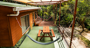 Slideshow Image Thumbnail 6 of 9