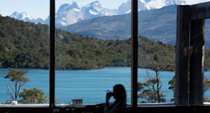 View from dining room