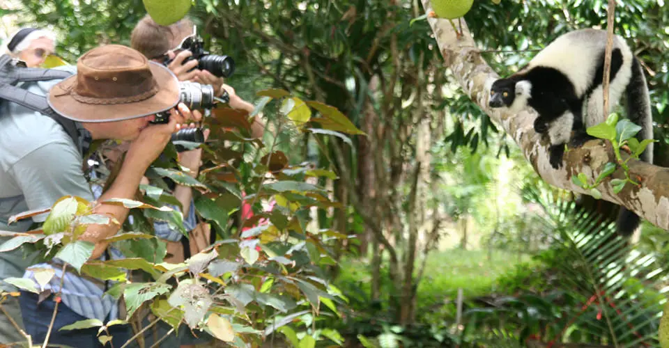 Nat Hab guests and black-and-white ruffed lemur, Ranomafana National Park, Madagascar.