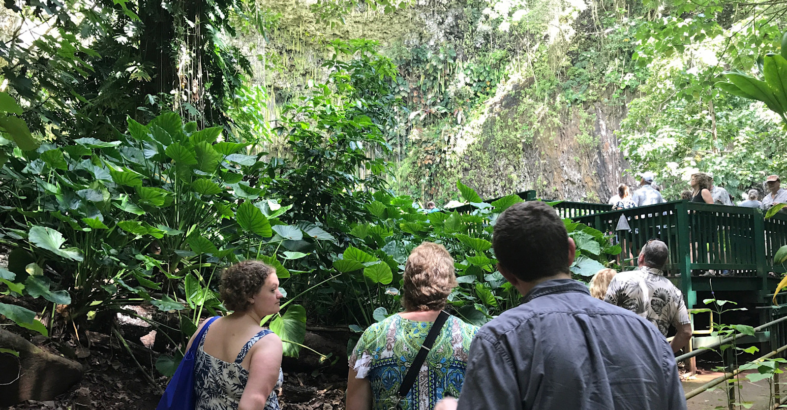 Walking to Fern Grotto in the Wailua River State Park in Kauai, Hawaii