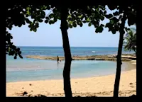Slideshow Thumbnail 3 of 4