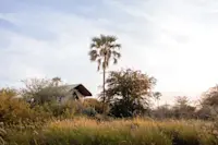 Slideshow Thumbnail 3 of 11