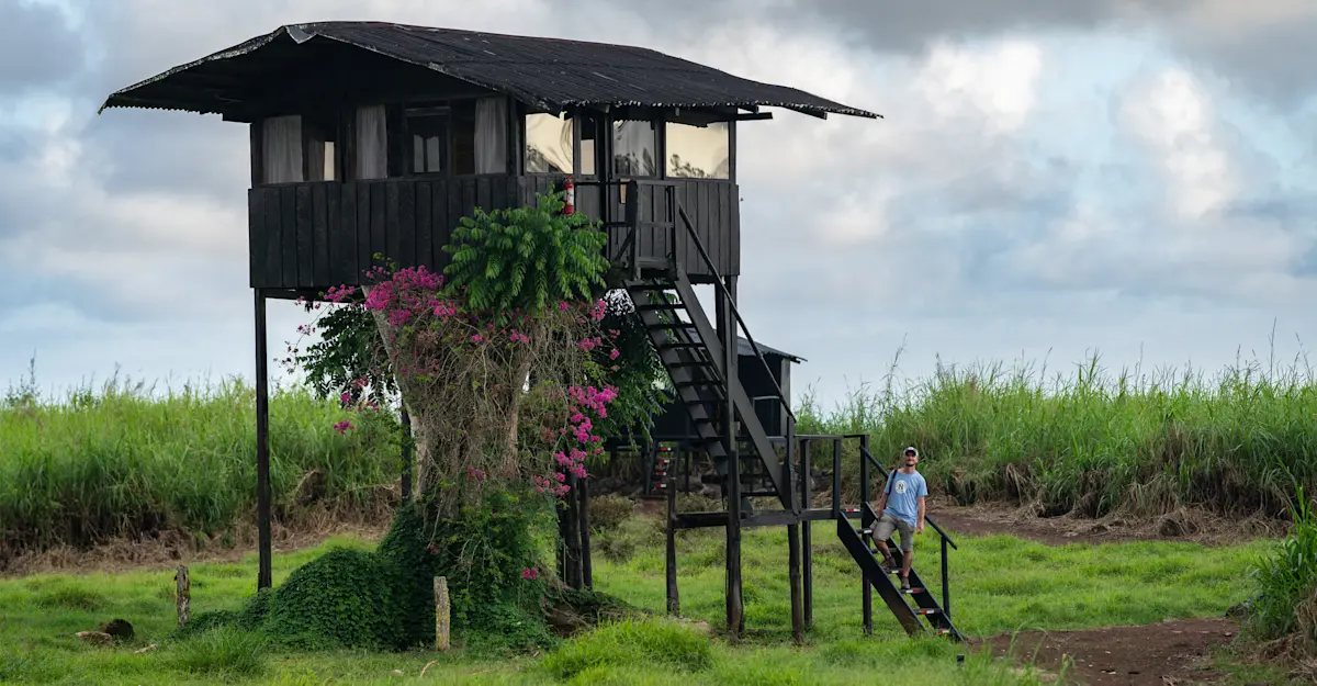 Treehouse accommodation at Nat Hab's Tortoise Camp