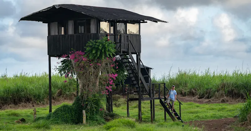 Treehouse accommodation at Nat Hab's Tortoise Camp