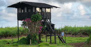 Treehouse accommodation at Nat Hab's Tortoise Camp
