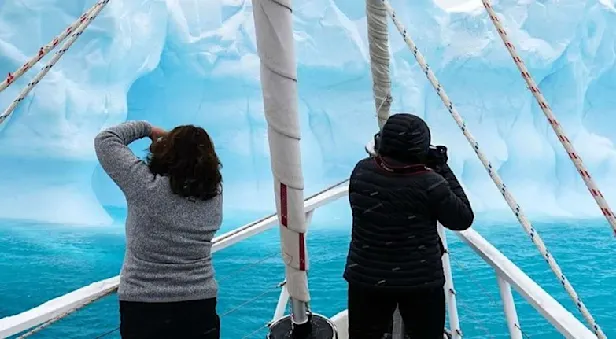 icebergs