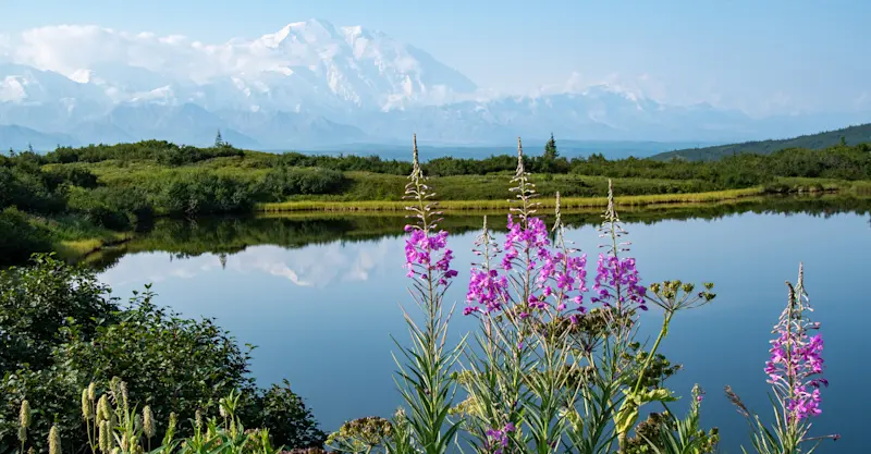 Denali National Park, Alaska.
