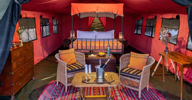 Guest tent interior at Nat Hab's Explorer Camp